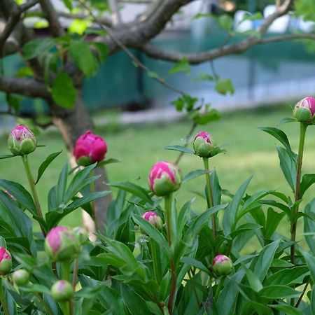 Aria Di Casa B&B Cantù Zewnętrze zdjęcie