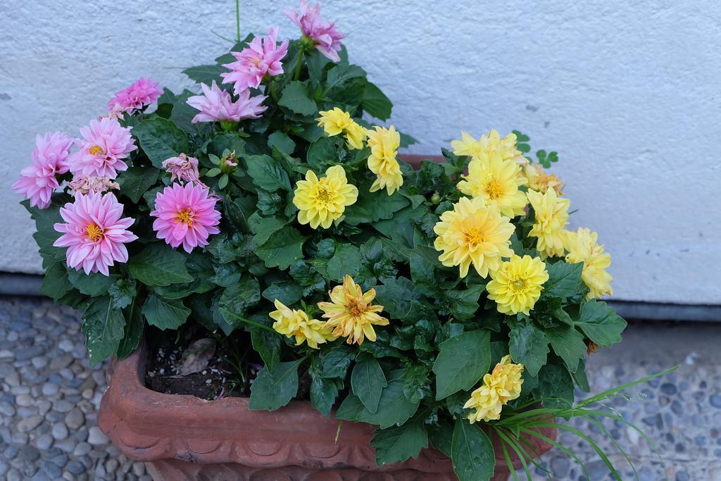 Aria Di Casa B&B Cantù Zewnętrze zdjęcie